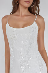 Valeria Velvet Sequin Mini Dress